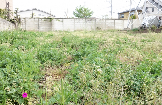 土地の査定もお任せ | 江戸川区の不動産売却ならスタンダード鴻業株式会社